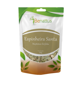 Espinheira Santa